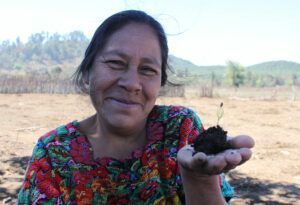 A Guatemalan Mother Participates In A Reforestation Project