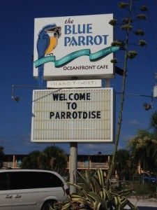 Parrotdise? Yeah, I'll run for that! 