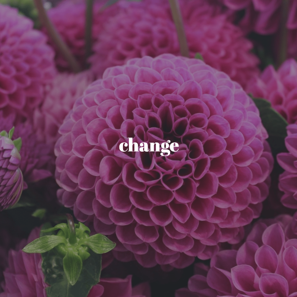 155 Big Green Pen Minutes Day Twenty-six: Change