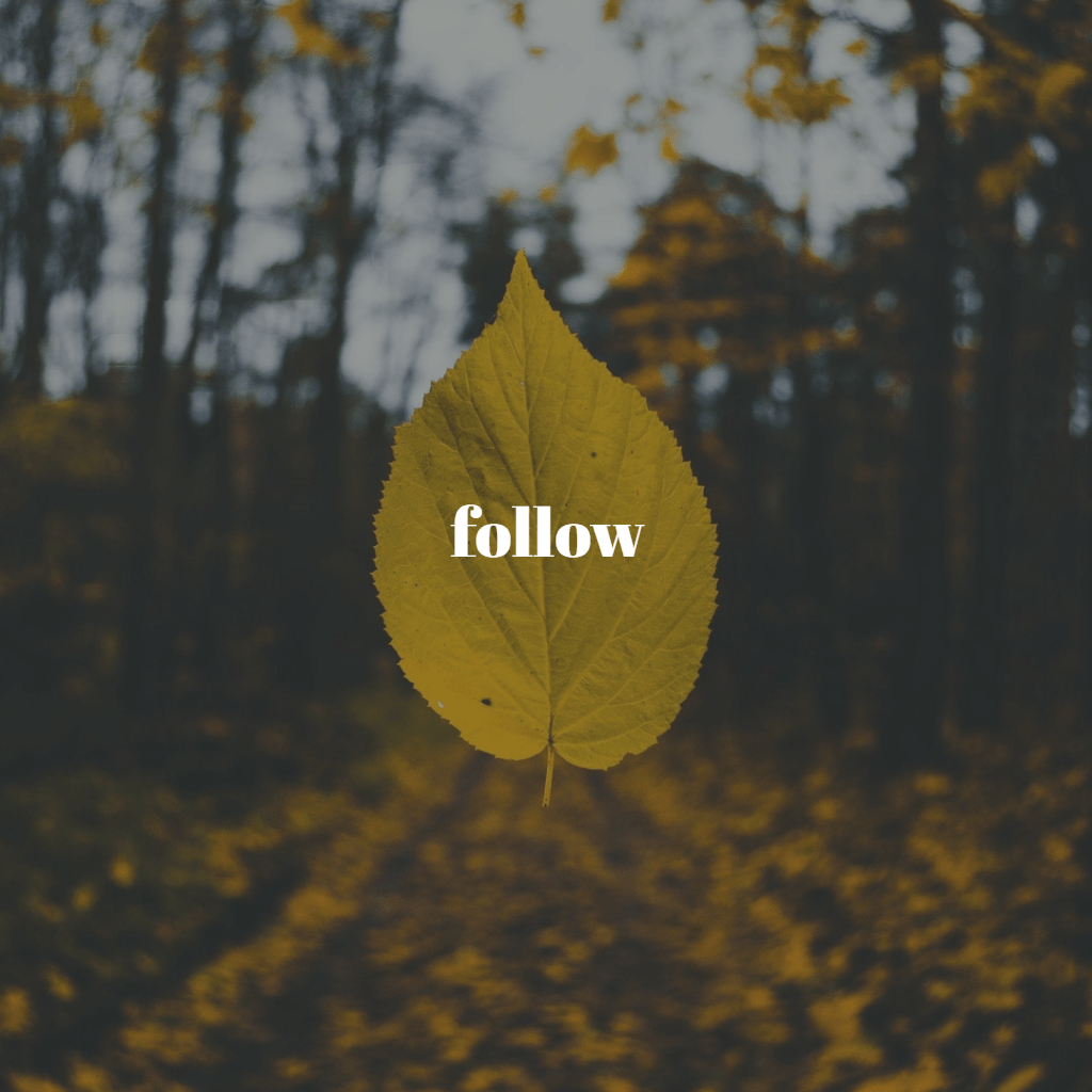 155 Big Green Pen Minutes Day Twenty-nine: Follow