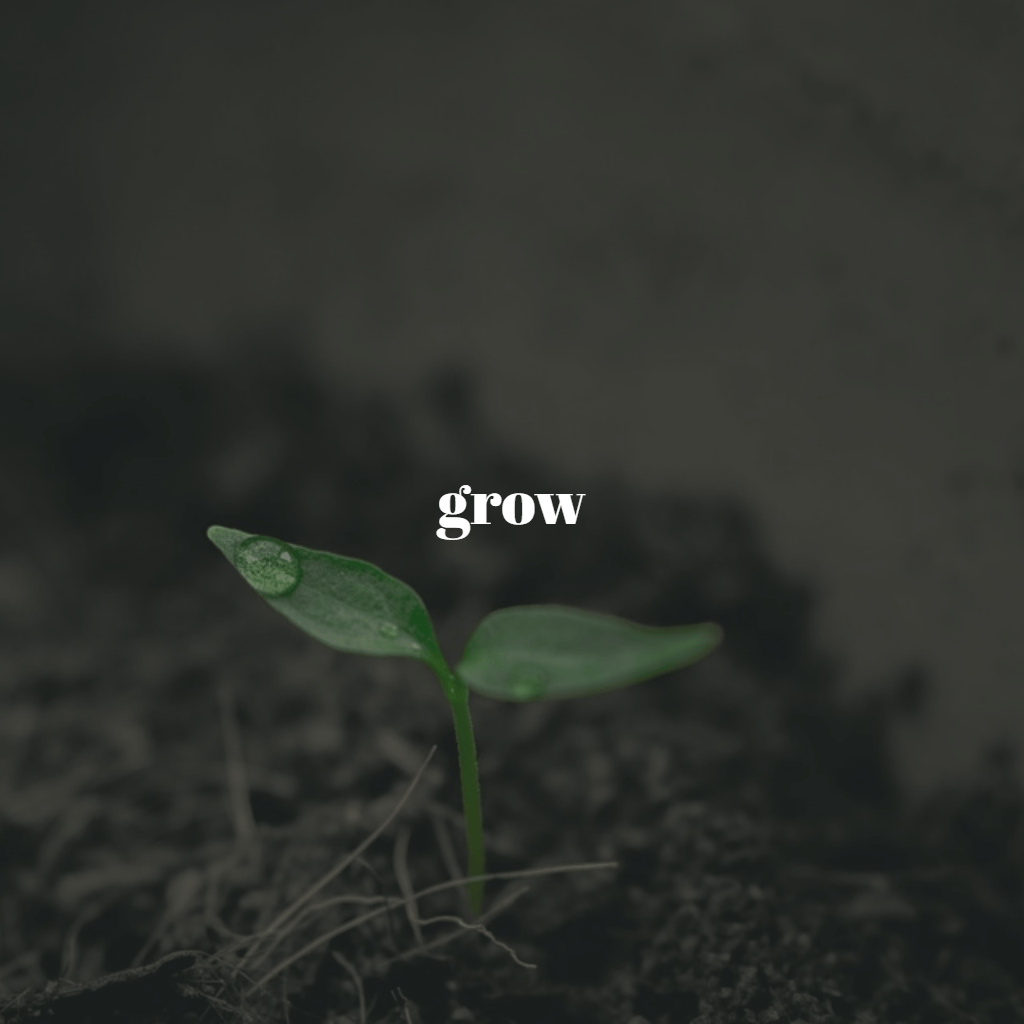 155 Big Green Pen Minutes Day Seventeen: Grow