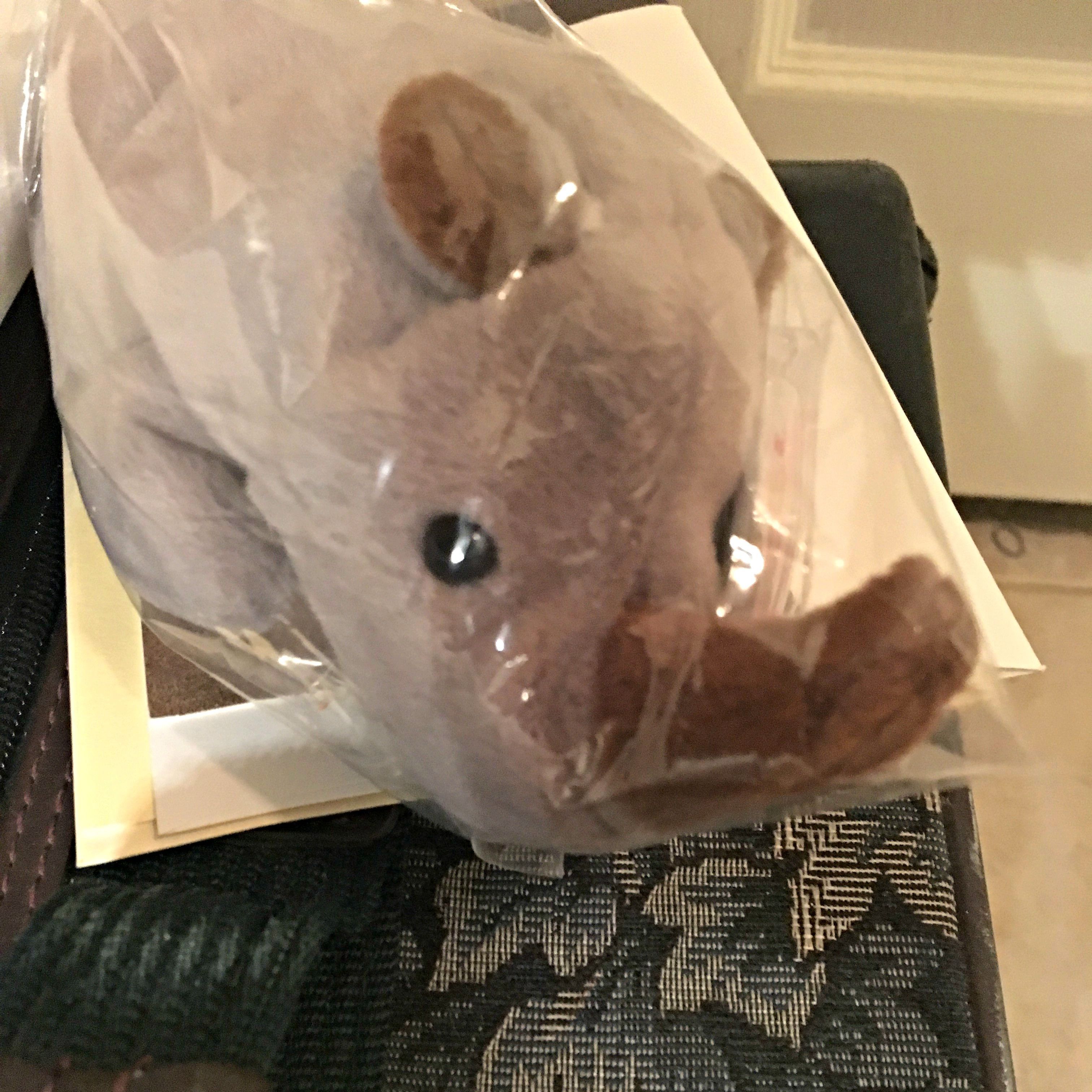 155 Big Green Pen Minutes Day Fifteen: Remain