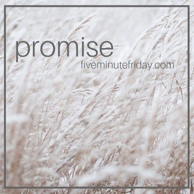 Five Minute Friday Promise
