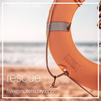 Get rescued or give up?